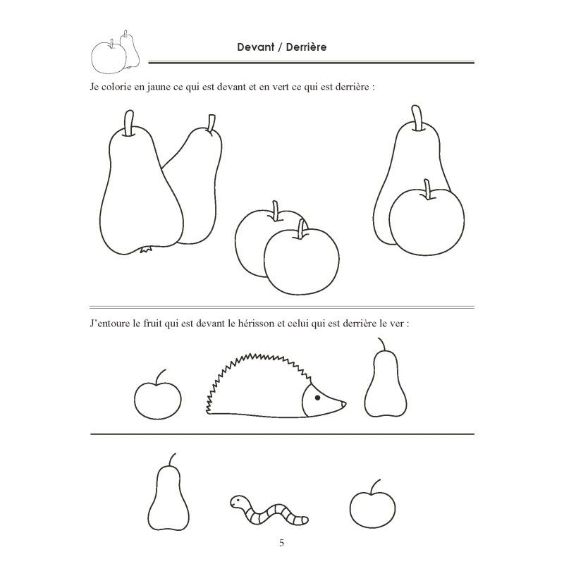 Cahiers de Notions de Bases (3 volumes)