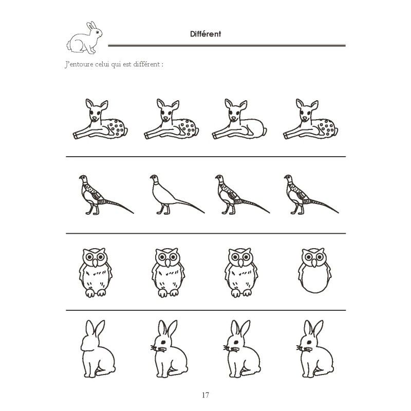 Cahier de Notions de bases 1 MS 