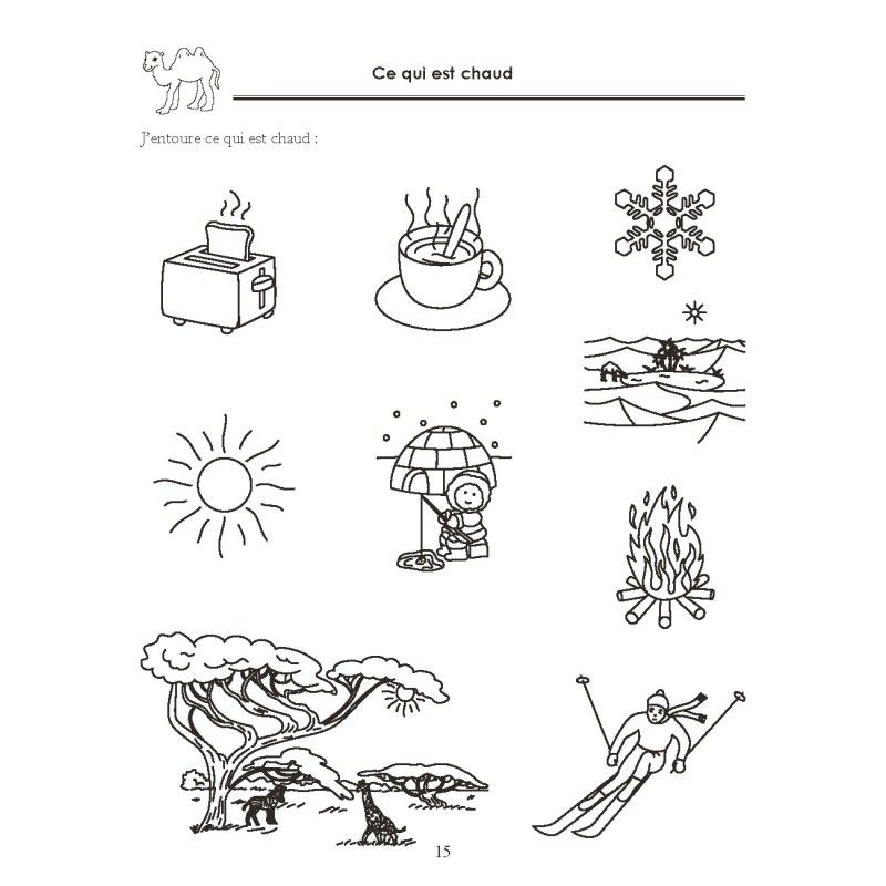 Cahier de Notions de bases 2 MS 