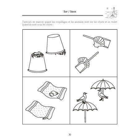 Cahier de Notions de bases 3 MS 