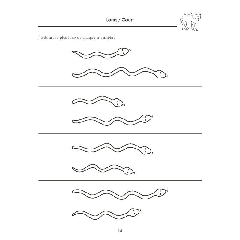 Cahiers de Notions de Bases MS (3 volumes)