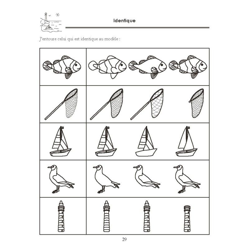 Cahiers de Notions de Bases MS (3 volumes)