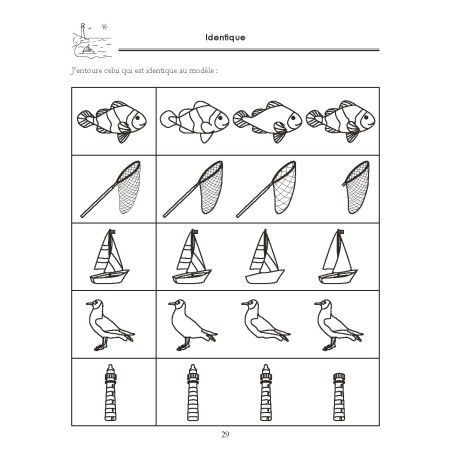 Cahiers de Notions de Bases MS (3 volumes)