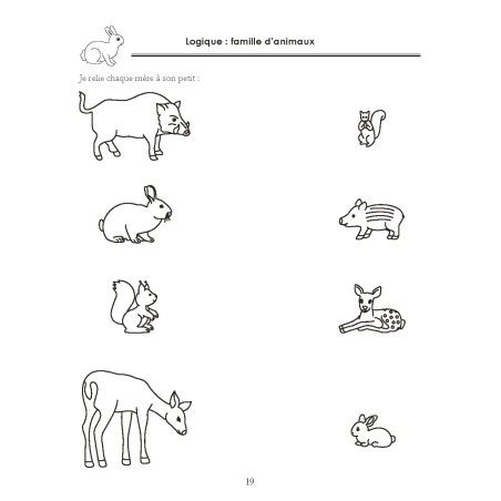 Cahier de Notions de bases 1 MS 